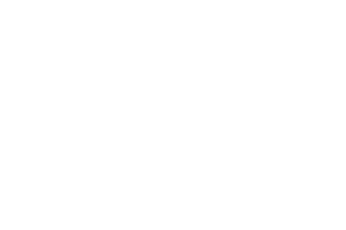 avidly try-3 avidly try-3